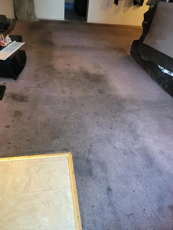 Carpeted hallway with dark stains and a partially visible light-colored mat in the foreground