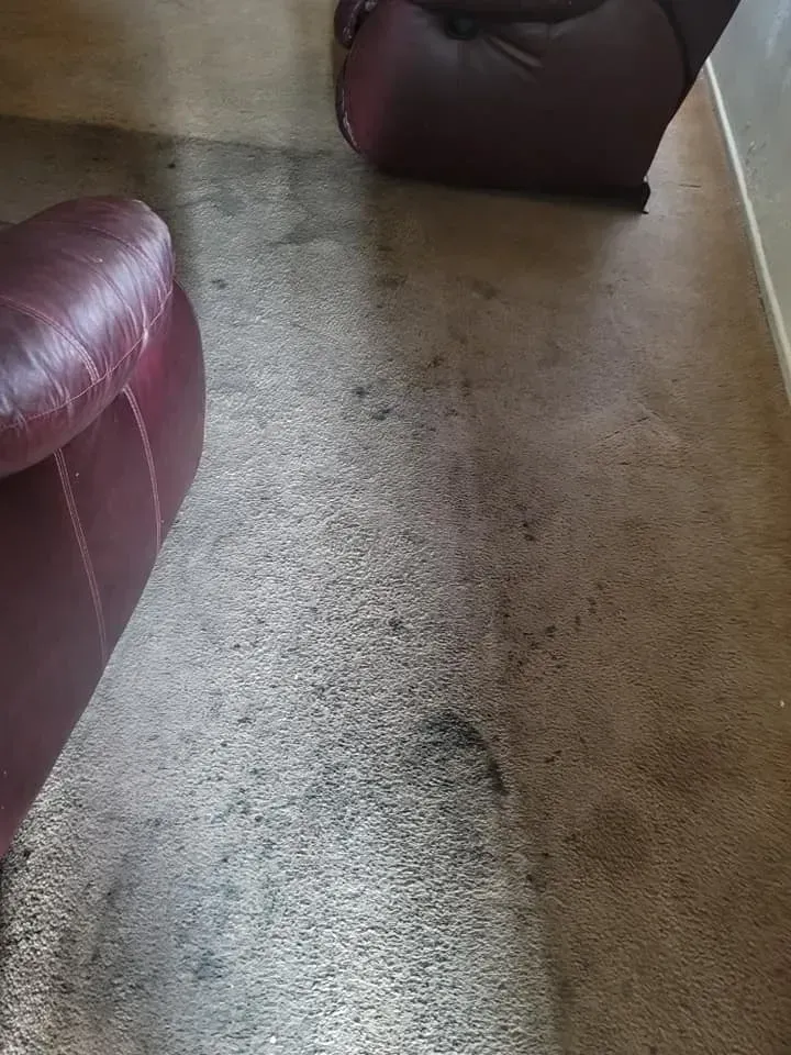 Carpeted floor with dark stains between two maroon leather chairs