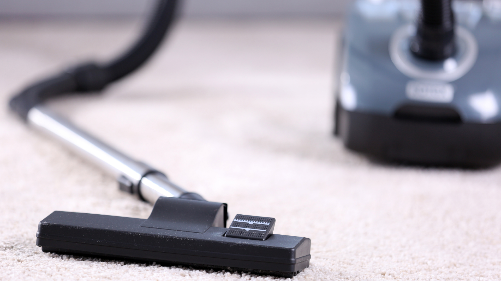 Vacuum cleaner floor nozzle on carpet with hose in the background