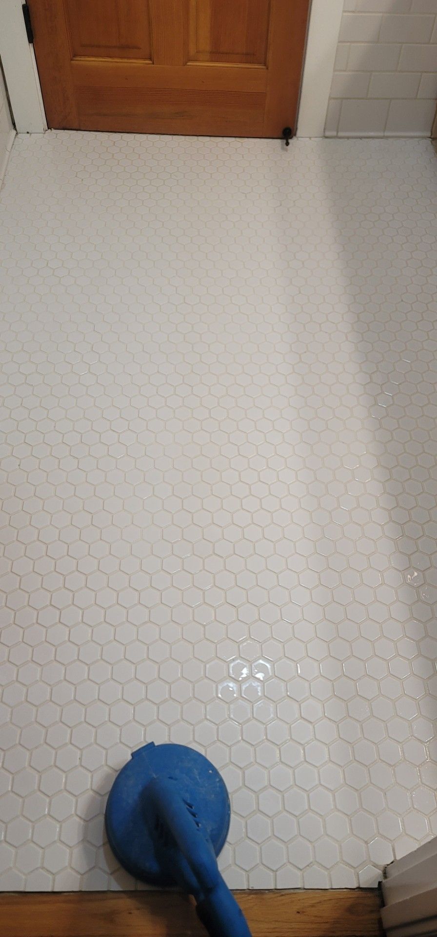 Blue toilet plunger on white hex tile floor near a wooden door