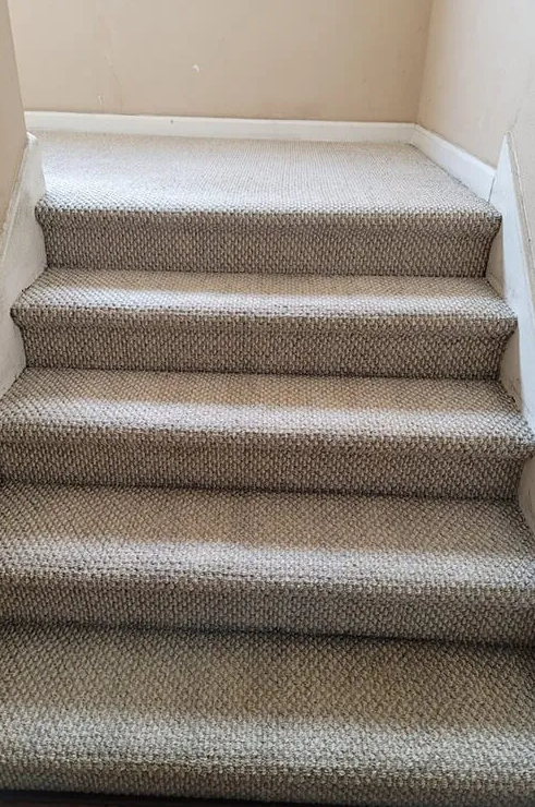Carpeted staircase with four beige steps between white walls and a tan landing