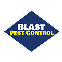 Blast Pest Control cover