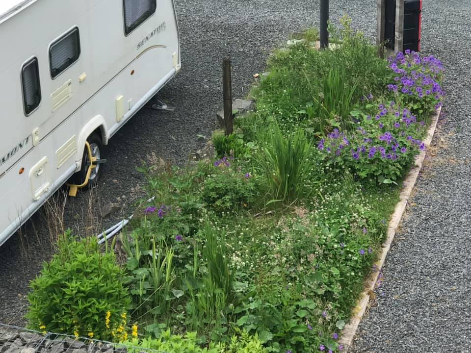 Touring and Motorhome Pitches at Queensland Holiday Park, Barrhill, Ayrshire, Scotland