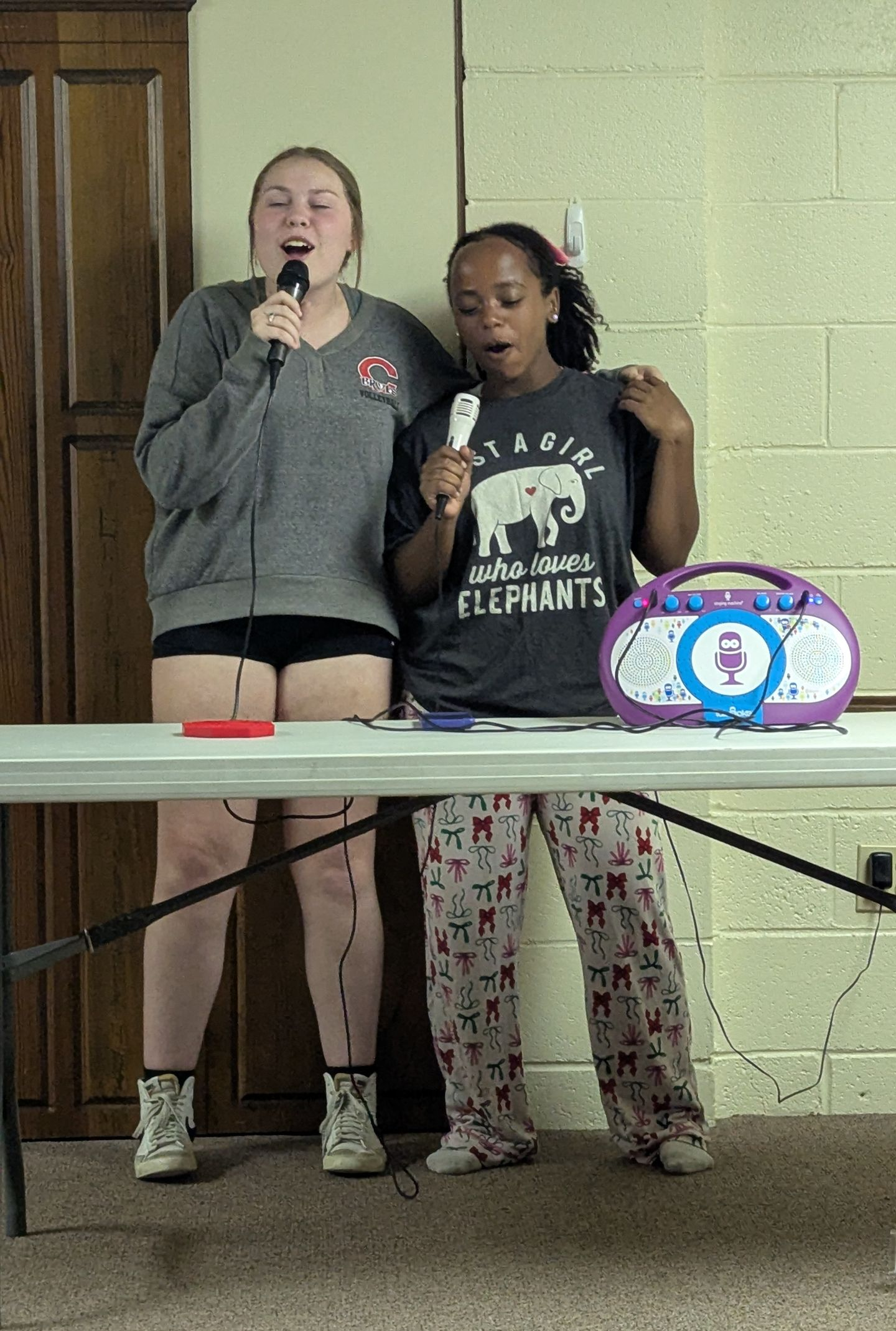 Two girls singing karaoke. One wears gray sweatshirt, black shorts; other wears gray elephant tee, pajama pants.