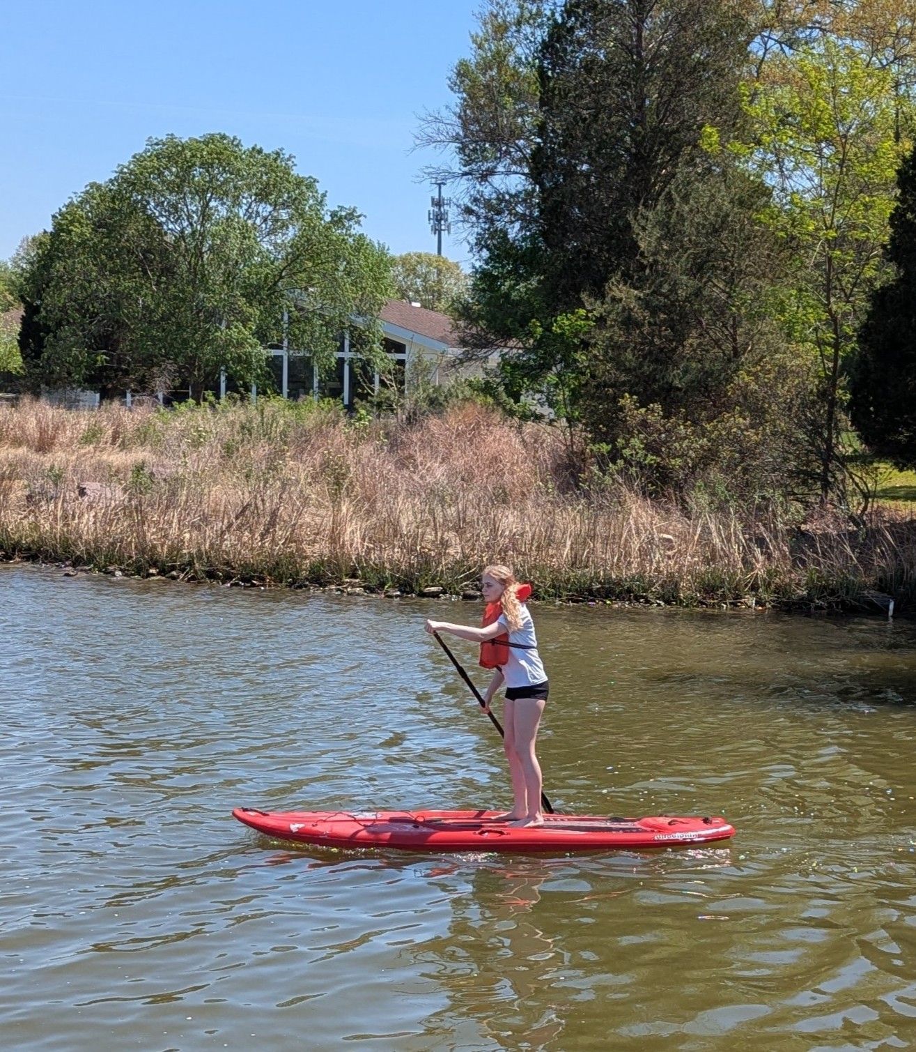 Person paddleboarding on a red board on a calm river near reeds and trees.