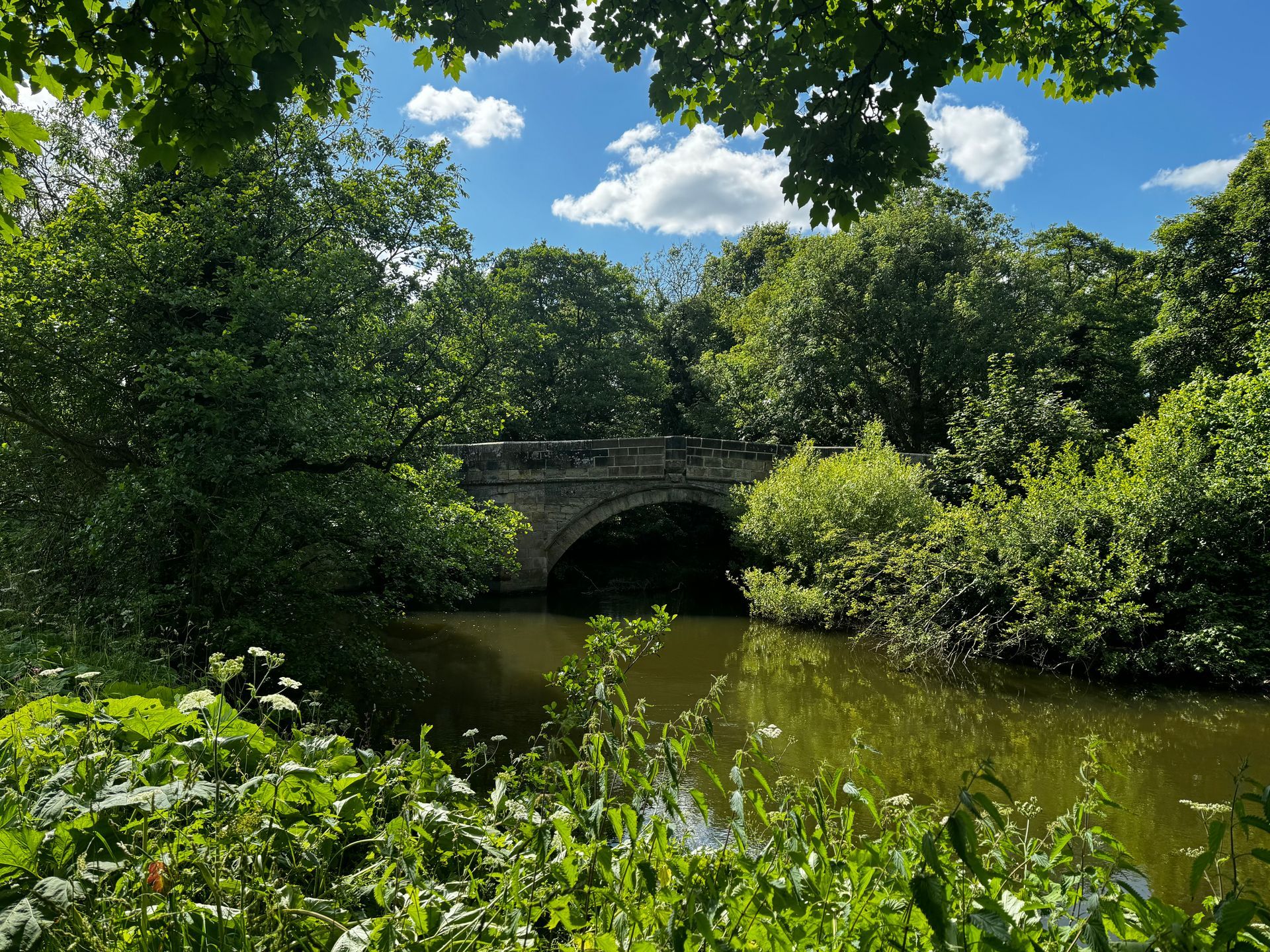 A bridge over a body of water surrounded by trees