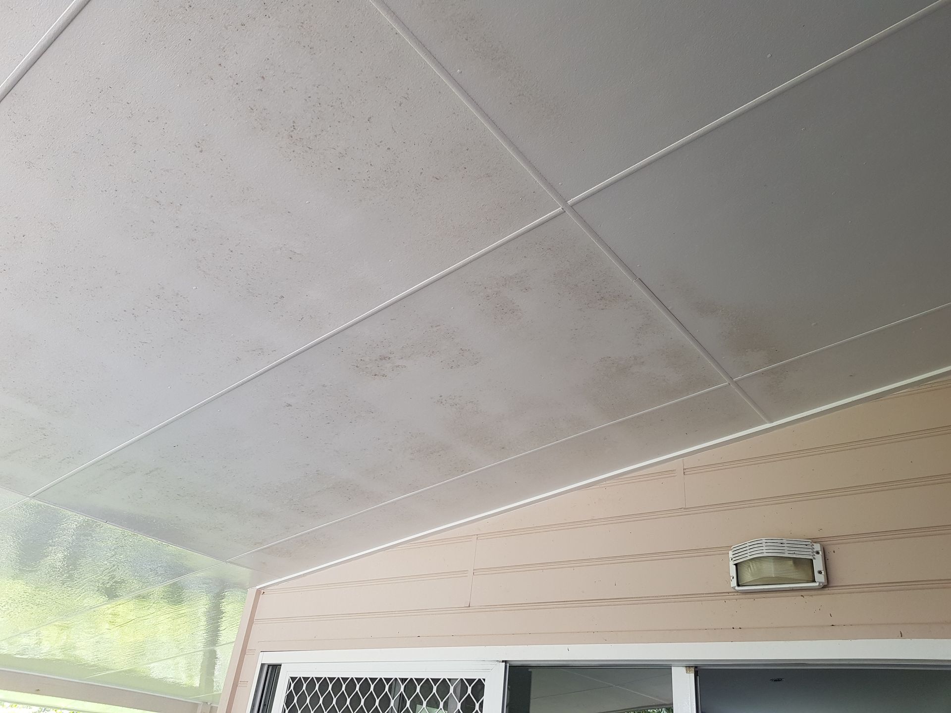 Mould Removal