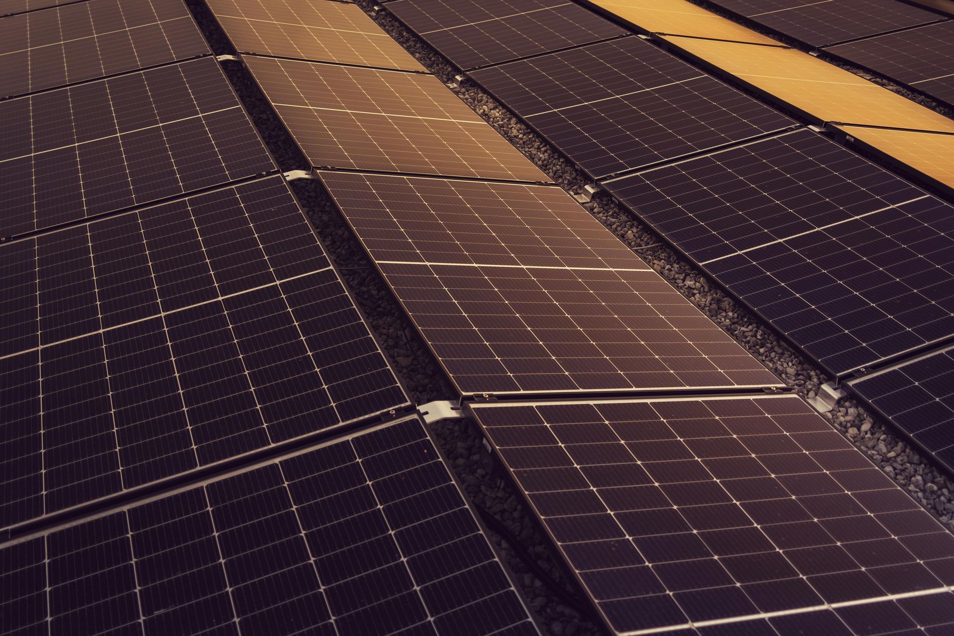 Uma vista em ângulo, aproximada, de painéis solares retangulares escuros dispostos em fileiras.