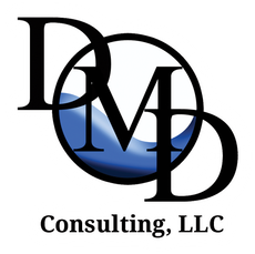 DMD Consulting, LLC logo with black letters over a blue globe.
