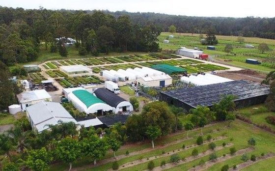 An aerial view of the Pineleigh Plants Nursery showing the extensive facilities we have for growing good quality plants
