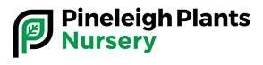 Pineleigh Plants Nursery