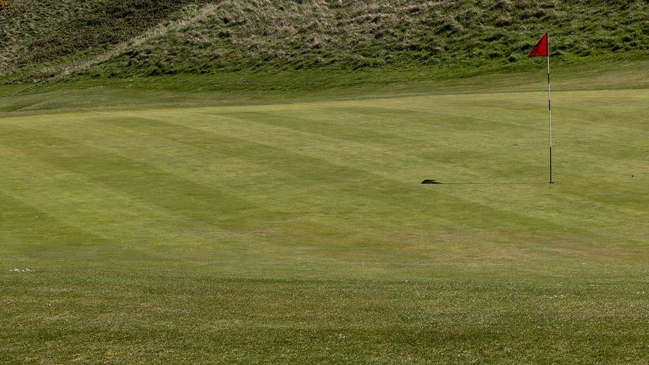 Golf green with a red flagstick near the hole on a grassy course