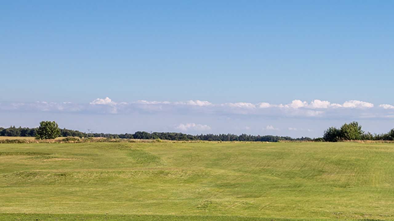 Open grassy field under a clear blue sky with a line of trees in the distance