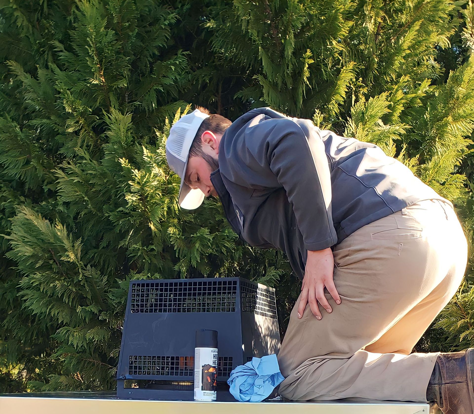 Effective Pest Control WinstonSalem, NC Ray's Pest Control