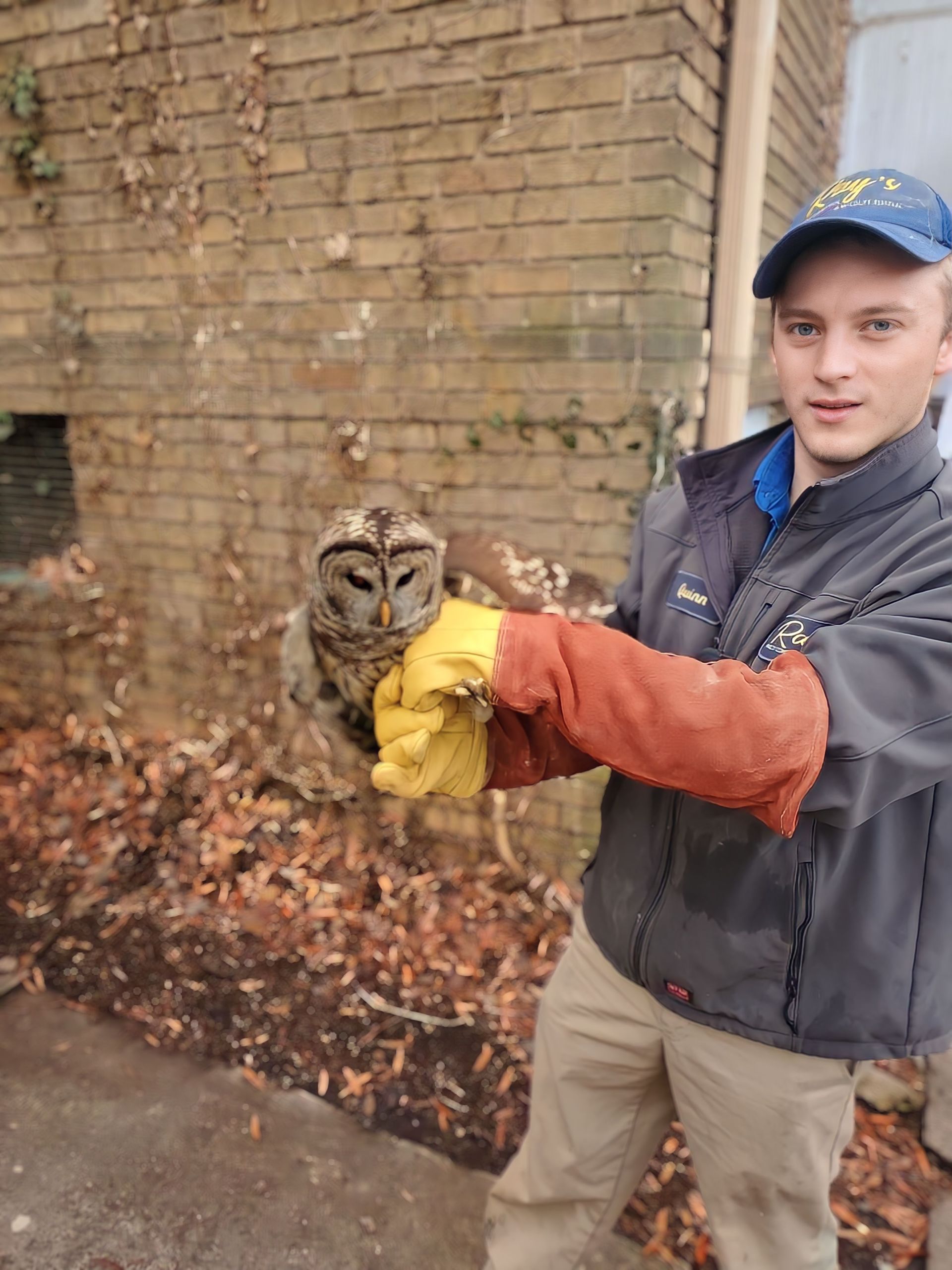 Ray's Pest Control and Wildlife Removal