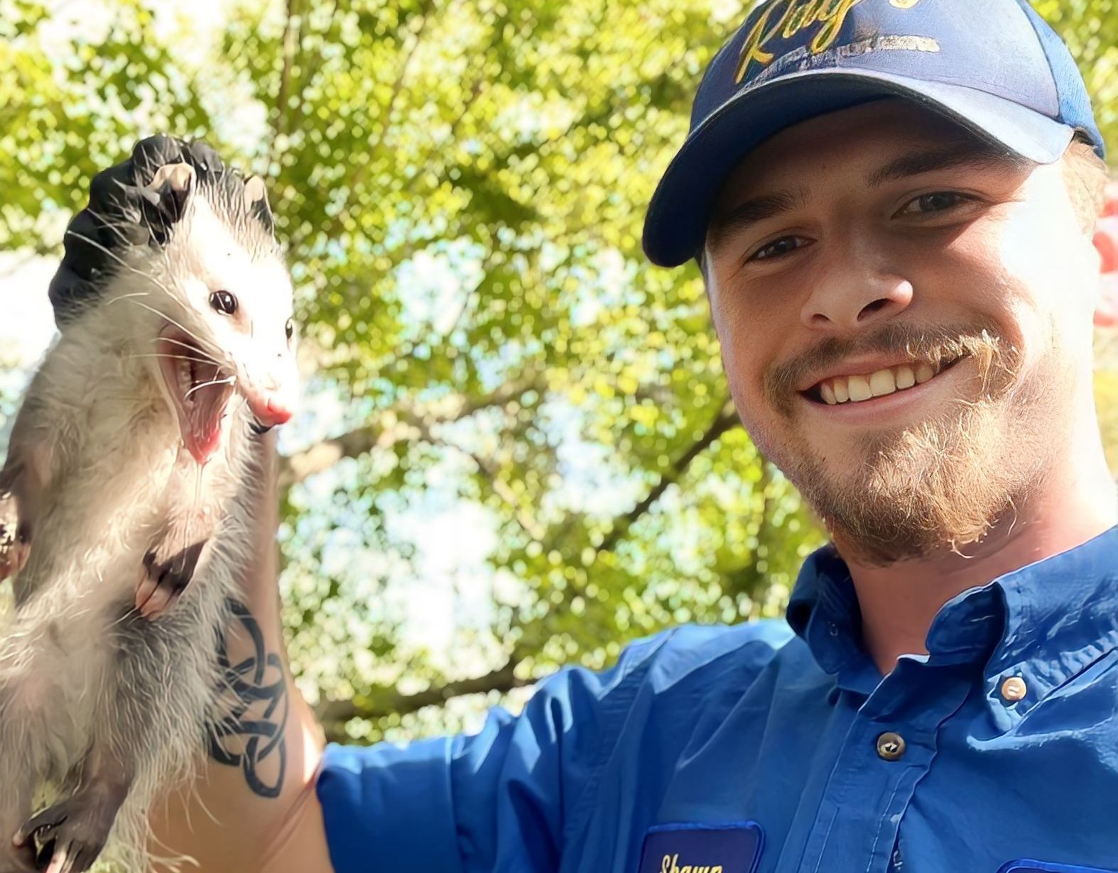 residential pest control