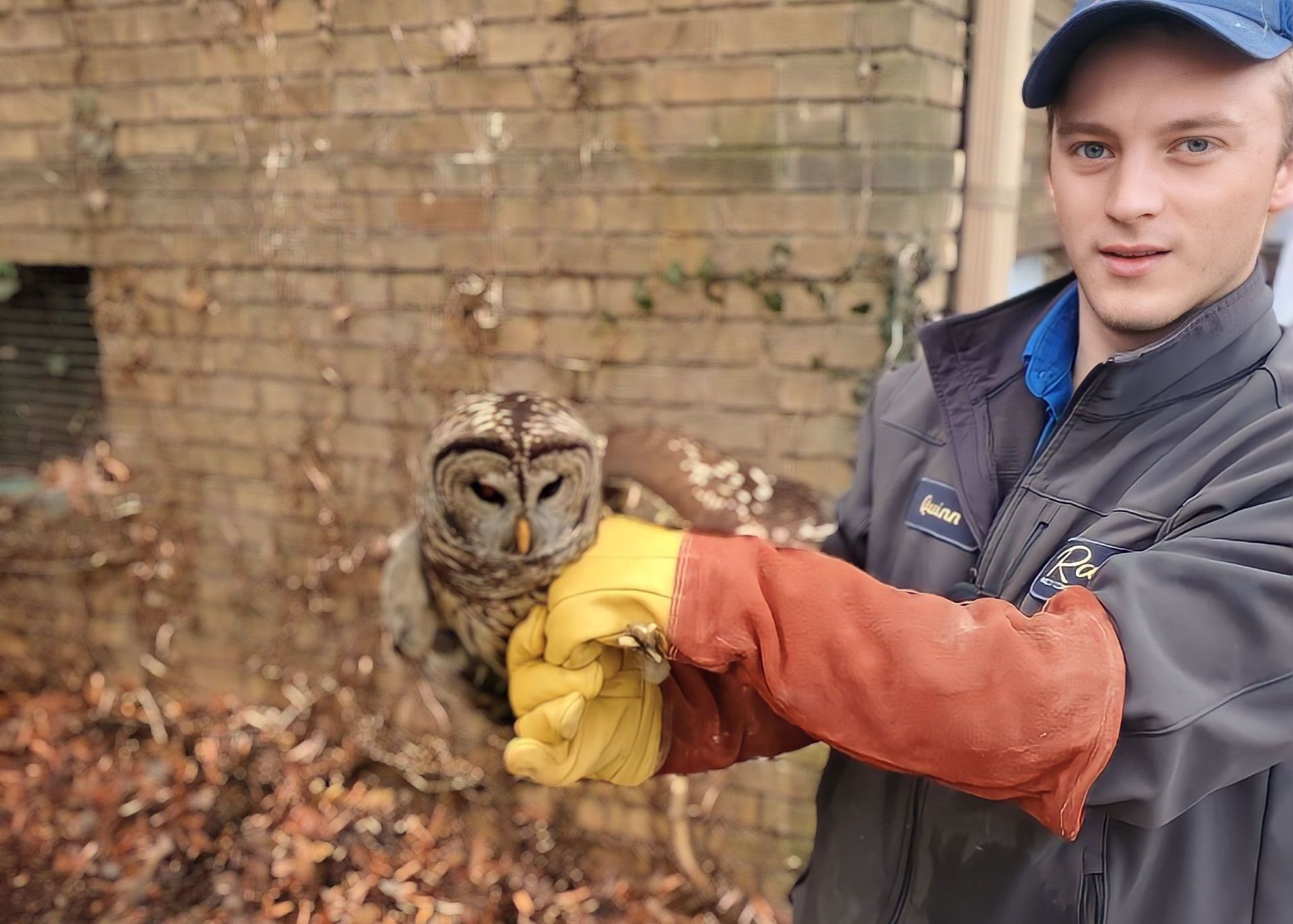 man holding an owl