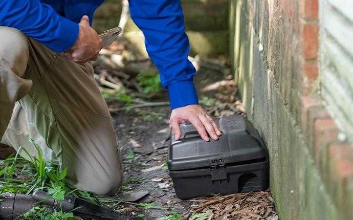 pest control greensborough