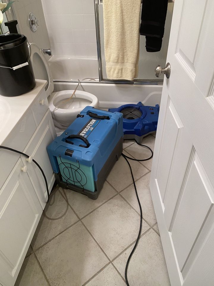 Cleaning Mold On Window Corner — Naples, FL — Floods of SW Florida Inc