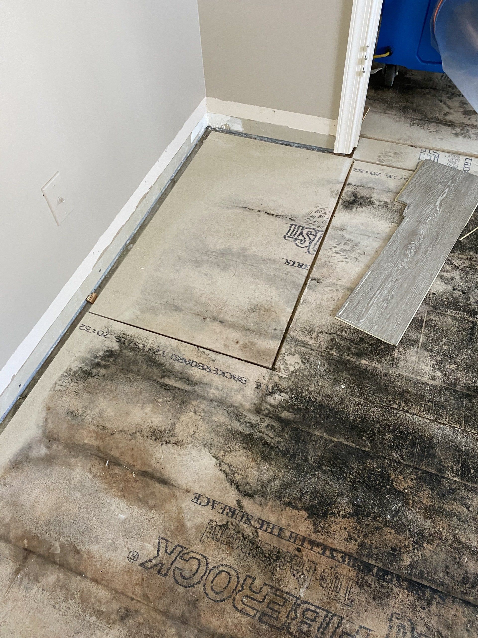 Cleaning Mold On Tiles — Naples, FL — Floods of SW Florida Inc Cleaning Mold On Tiles — Naples, FL — Floods of SW Florida Inc