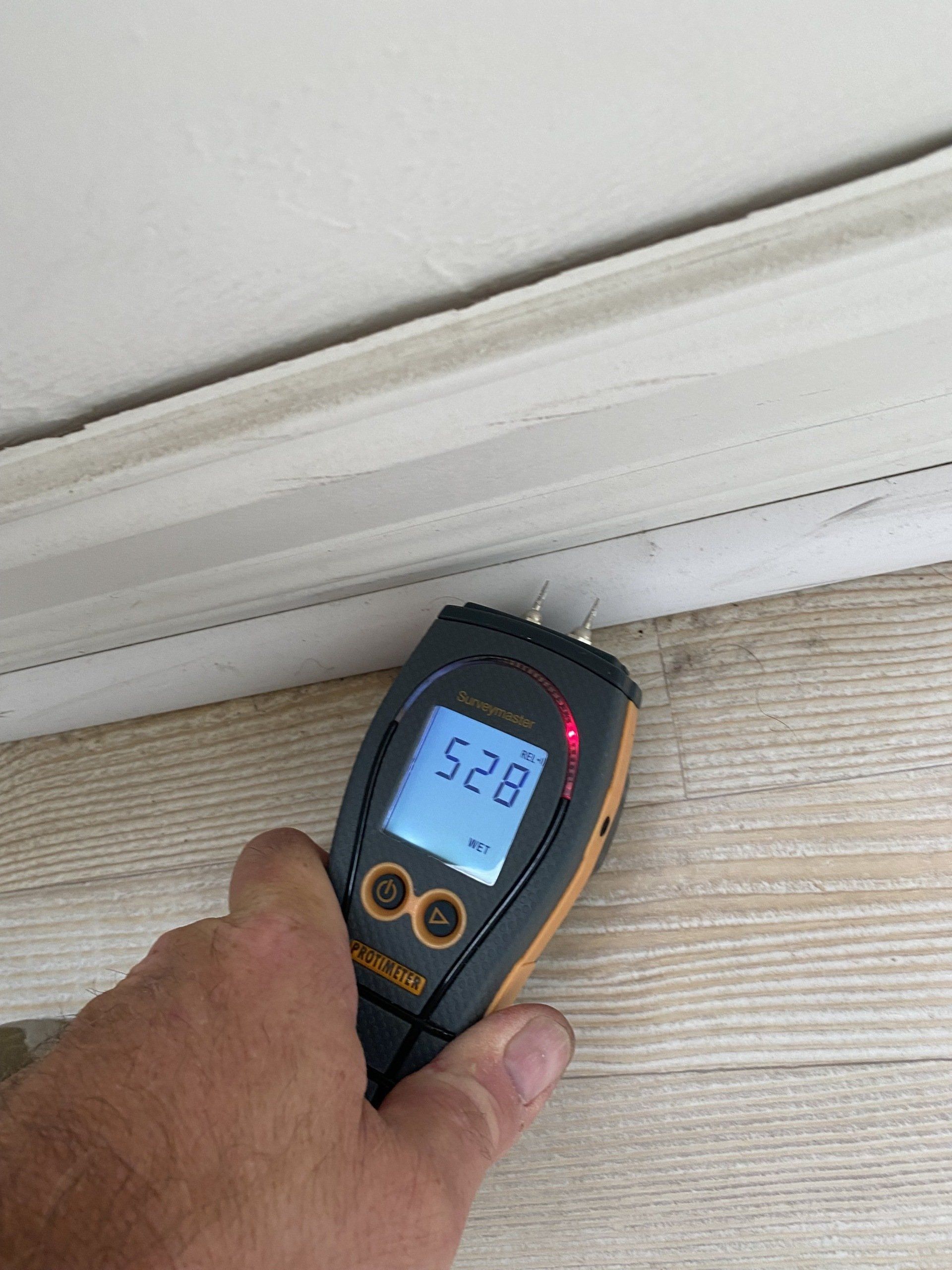 Cleaning Mold On Wall — Naples, FL — Floods of SW Florida Inc Cleaning Mold On Wall — Naples, FL — Floods of SW Florida Inc