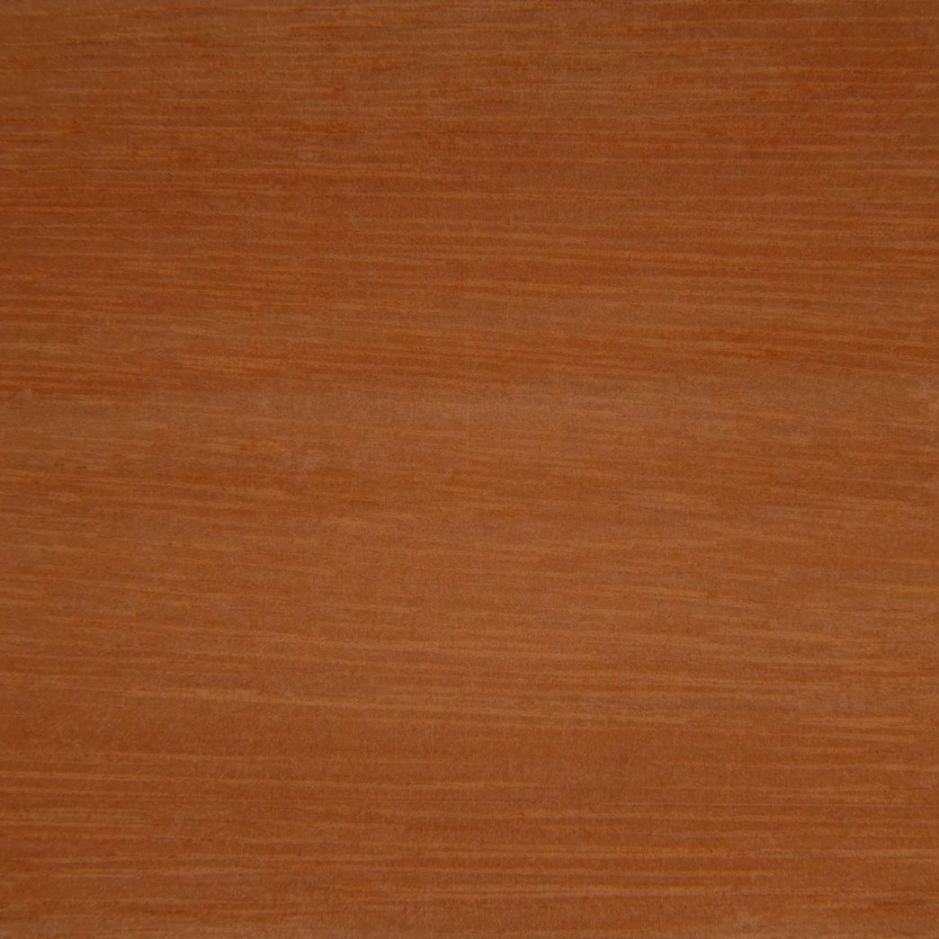 Un gros plan d'un morceau de bois montrant la texture du bois.