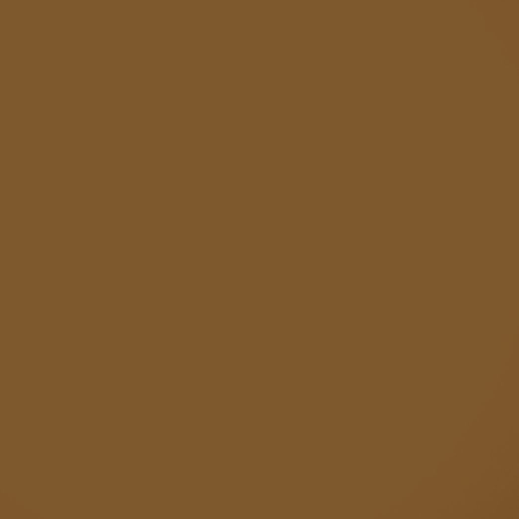 Un gros plan d'un fond marron avec une texture unie.