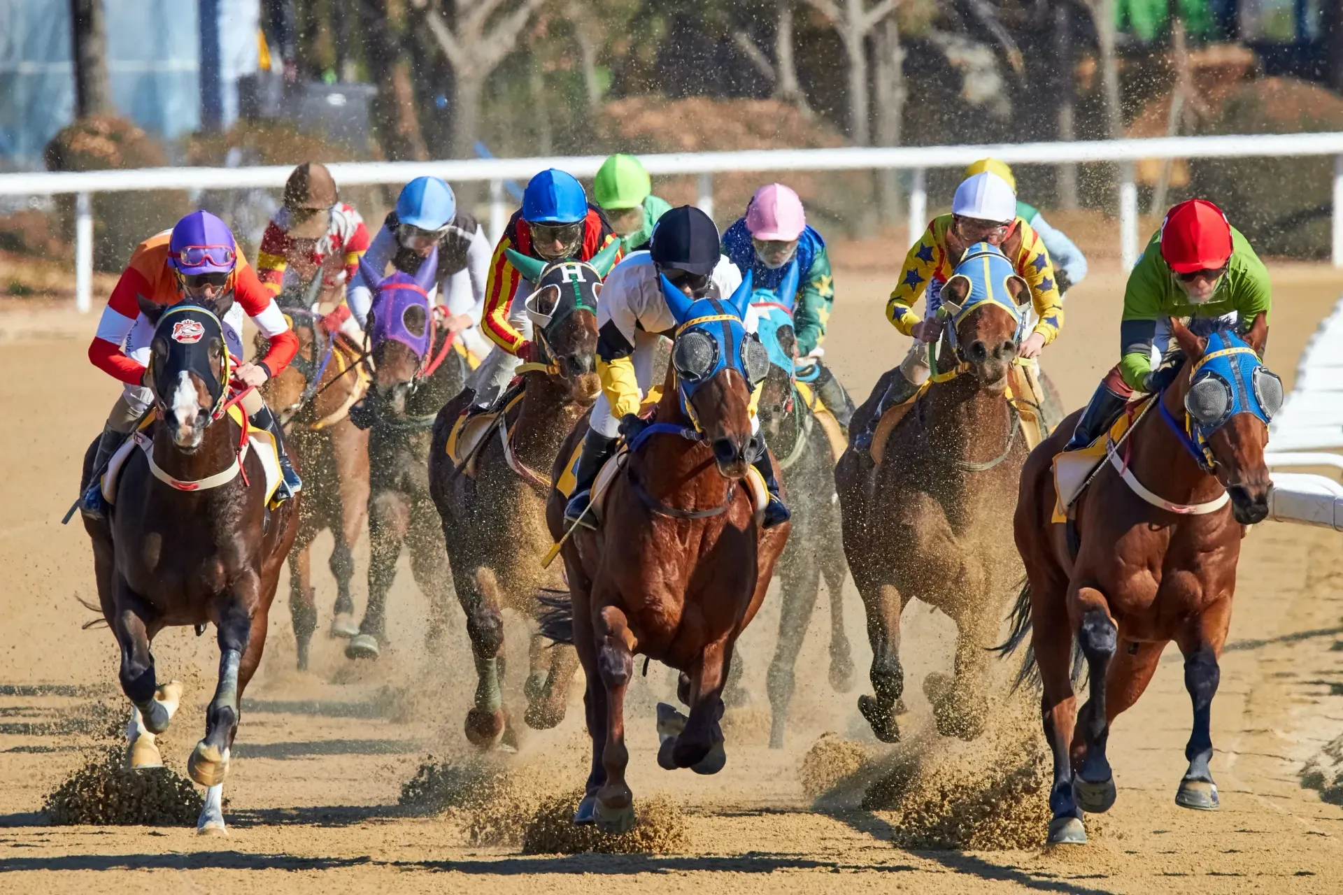 A group of horses and jockeys are racing on a dirt track.