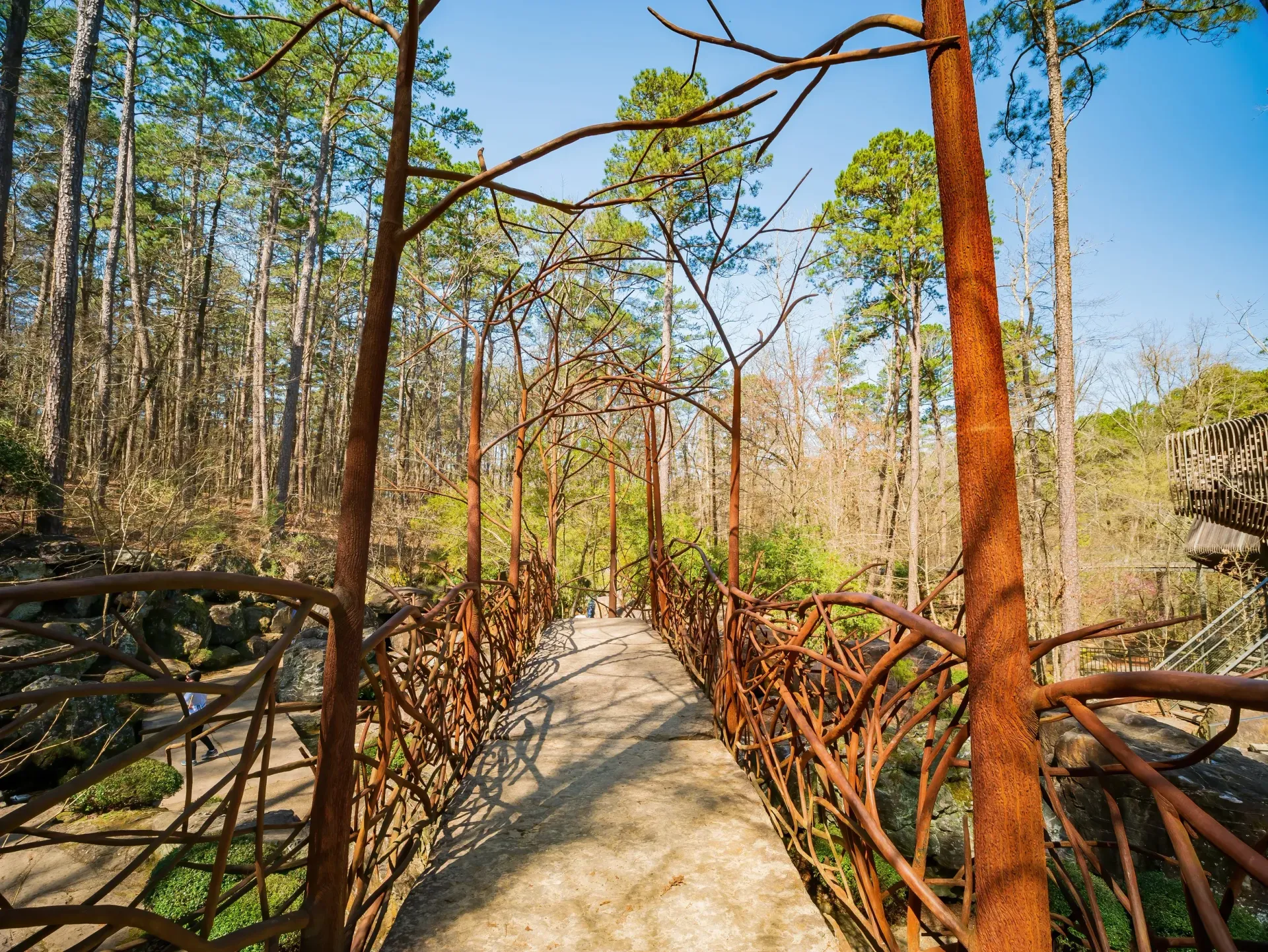 A wooden bridge in the middle of a forest.