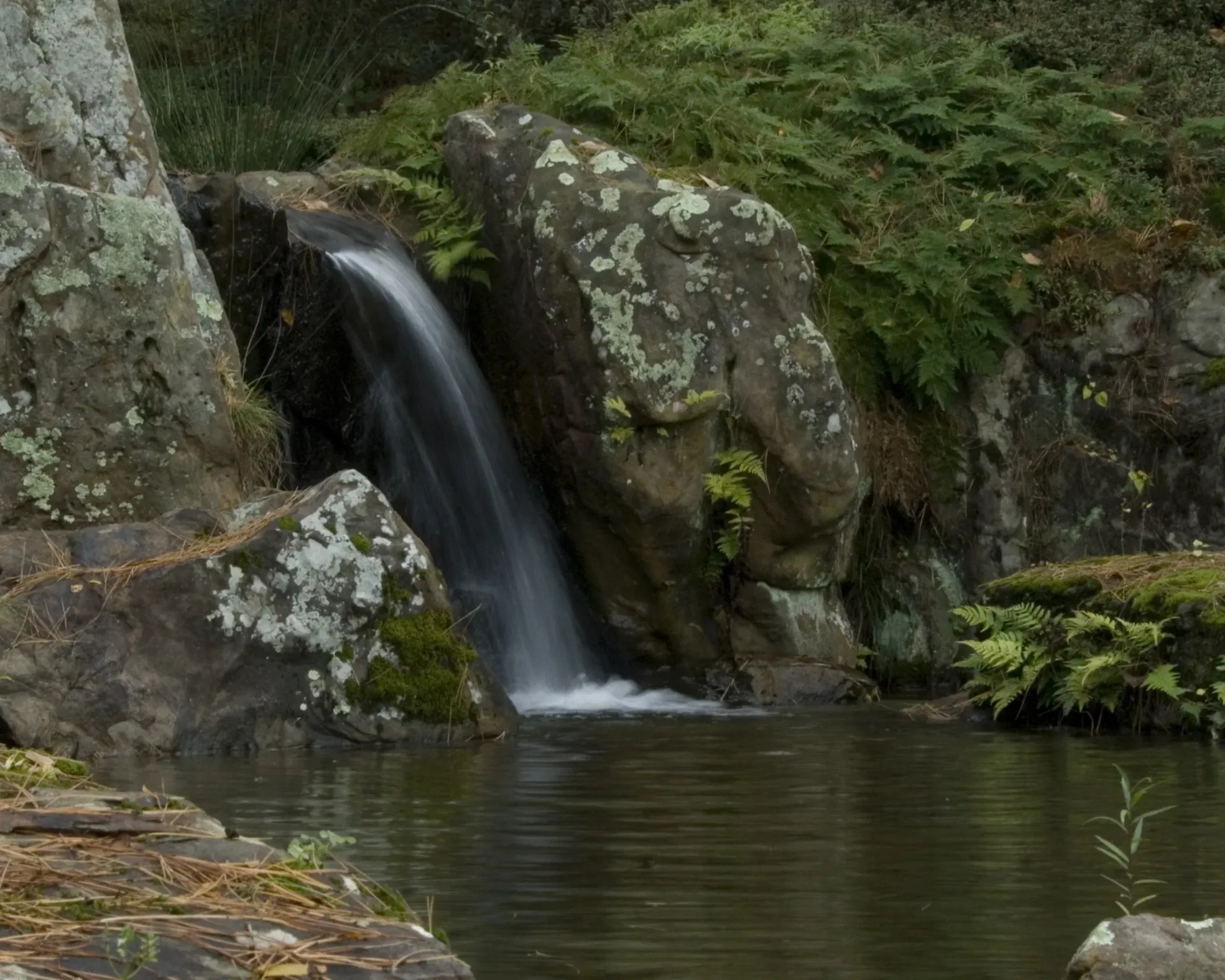 A small waterfall is surrounded by rocks and ferns