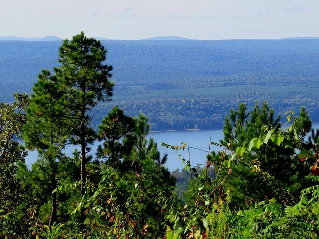 A view of a lake through a forest with trees in the foreground