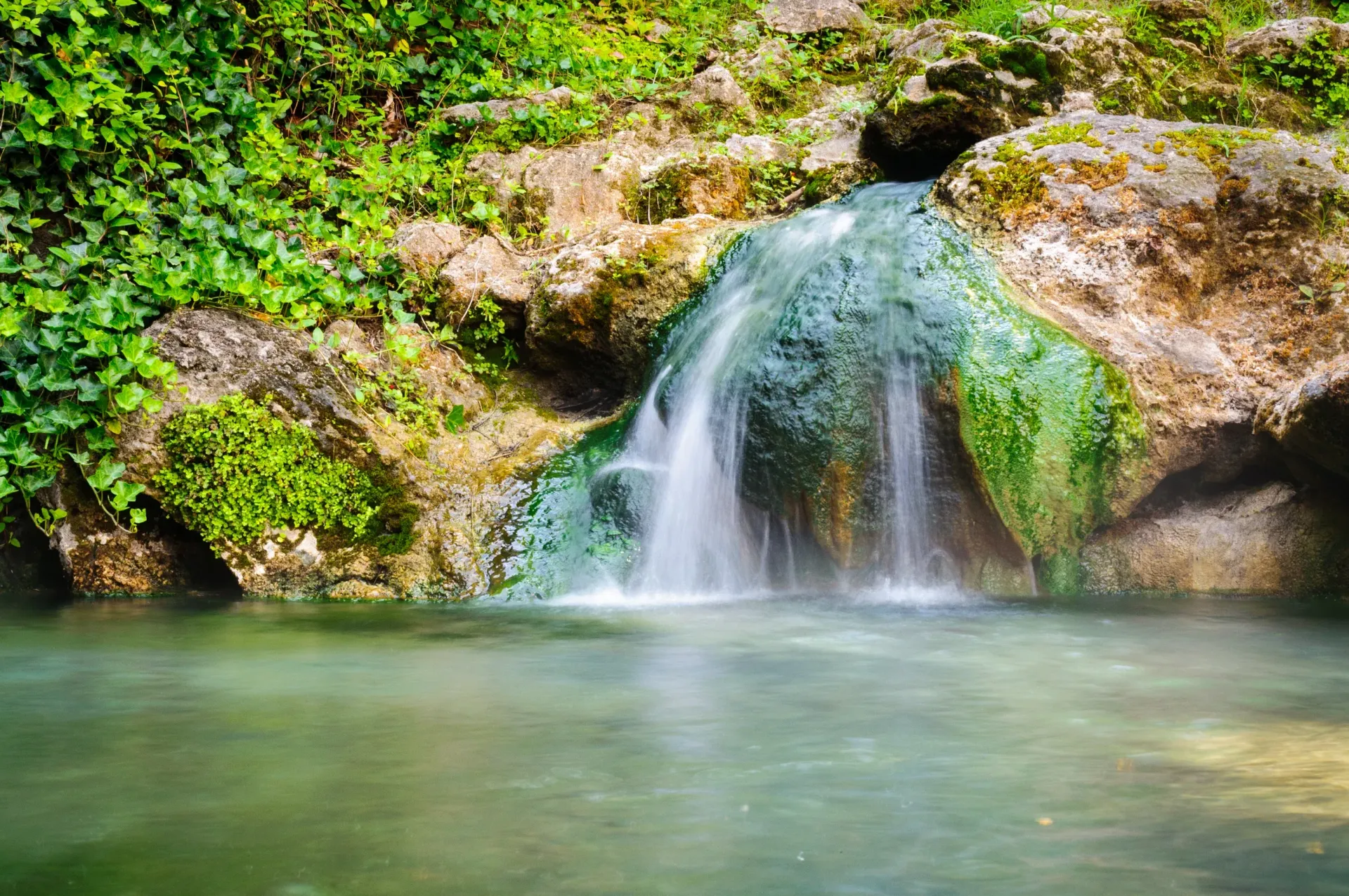 A small waterfall in the middle of a forest surrounded by greenery.