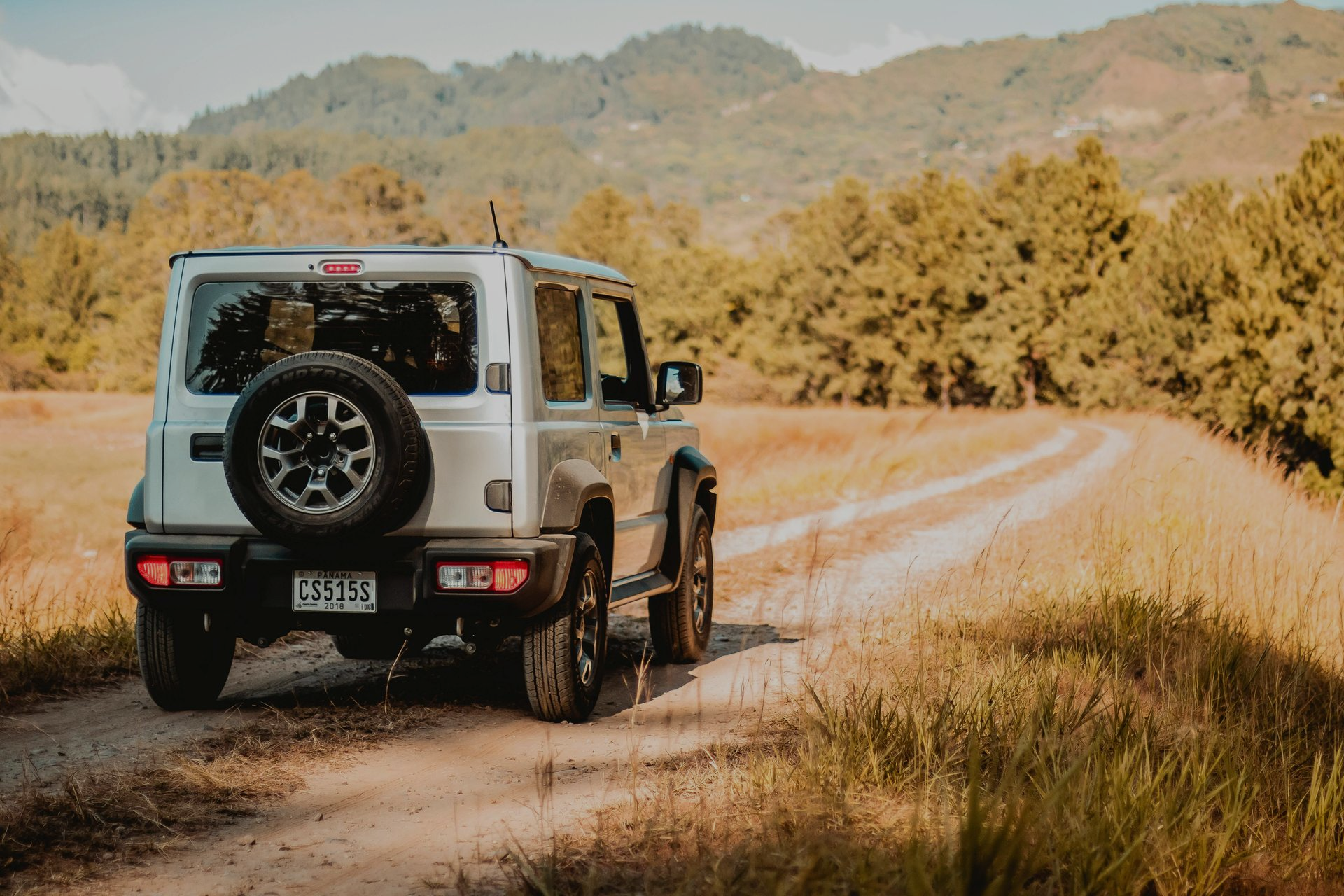 Silver SUV driving on a dirt road in a field with trees and mountains in the background.
