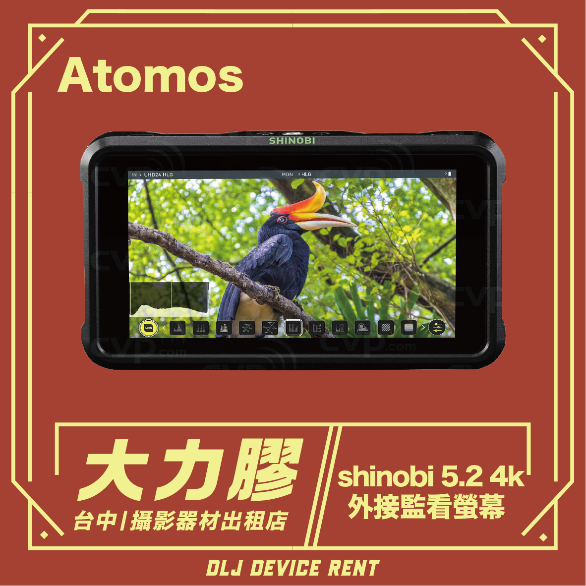 Atomos Shinobi 5.2 4K 外接顯示器，顯示一隻鳥，並配有文字，可從 DLJ Device Rent 租賃。