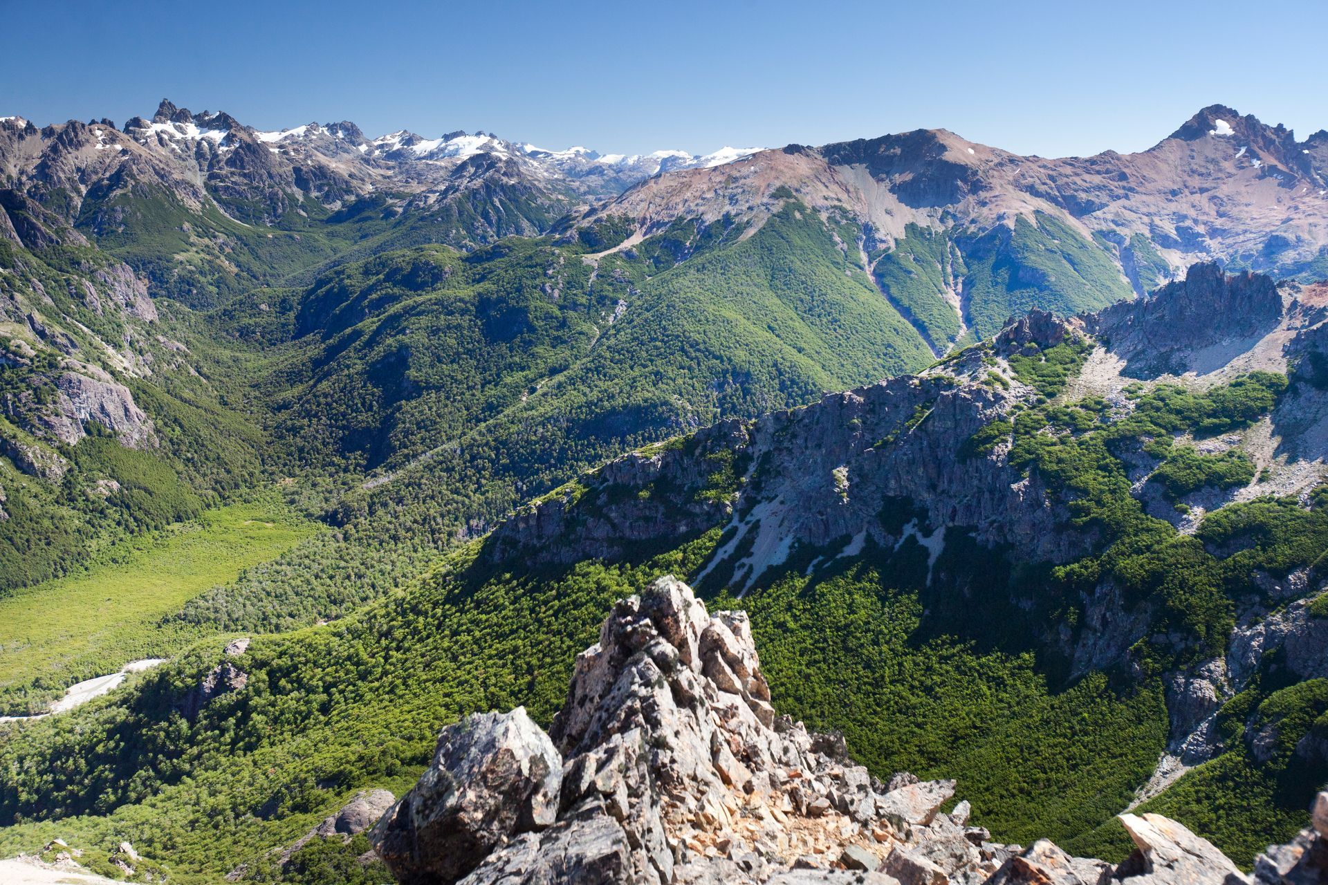 Paisaje de montaña con exuberantes bosques verdes y picos nevados bajo un cielo azul claro.