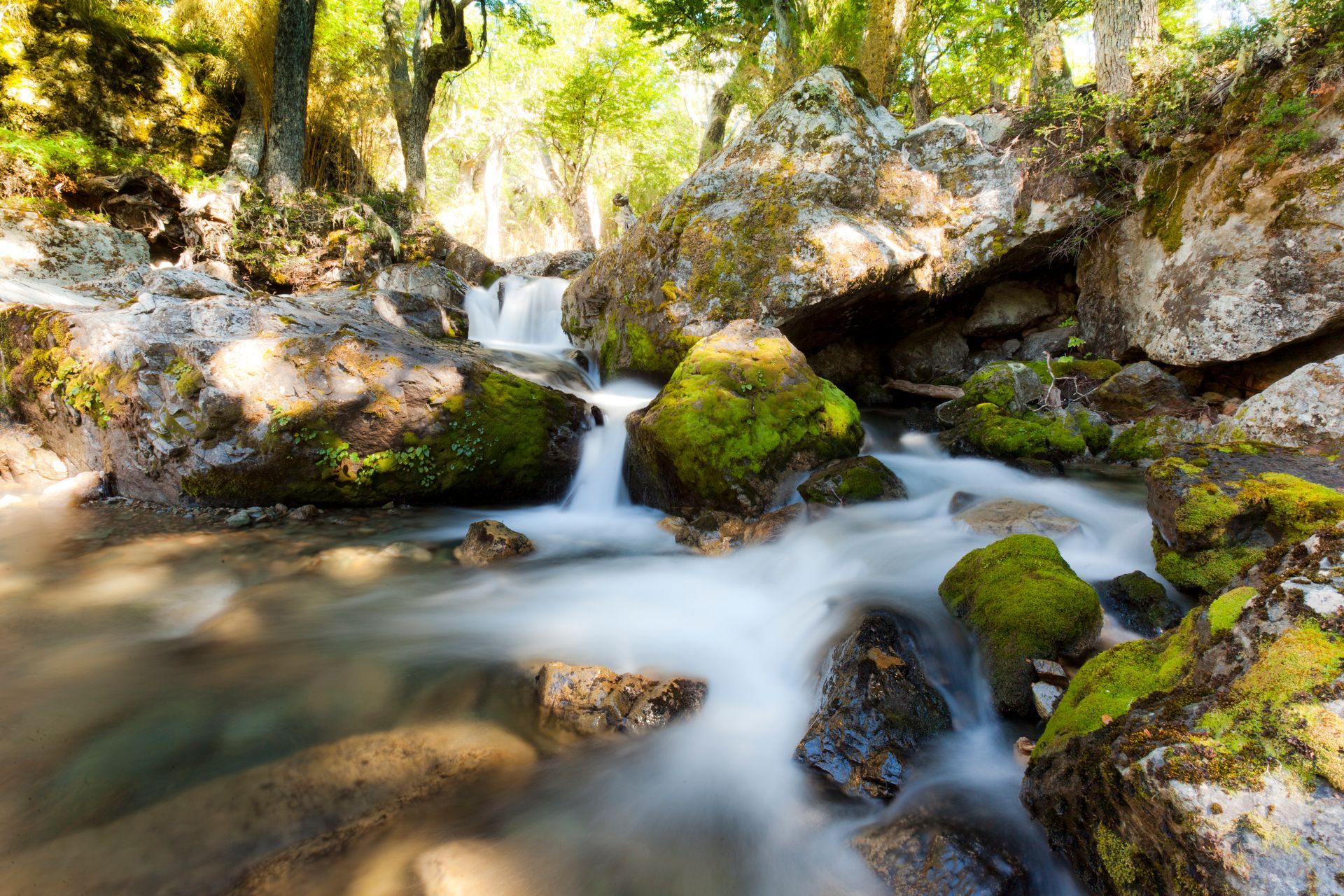 Arroyo que cae en cascada sobre rocas cubiertas de musgo en un bosque iluminado por el sol.