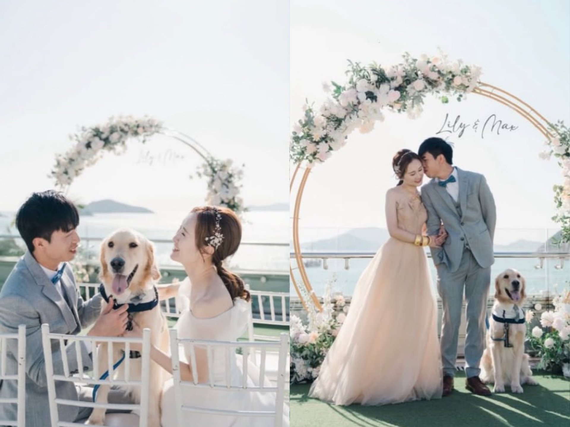 Bride and groom kiss amidst wedding party in sunny outdoor setting.