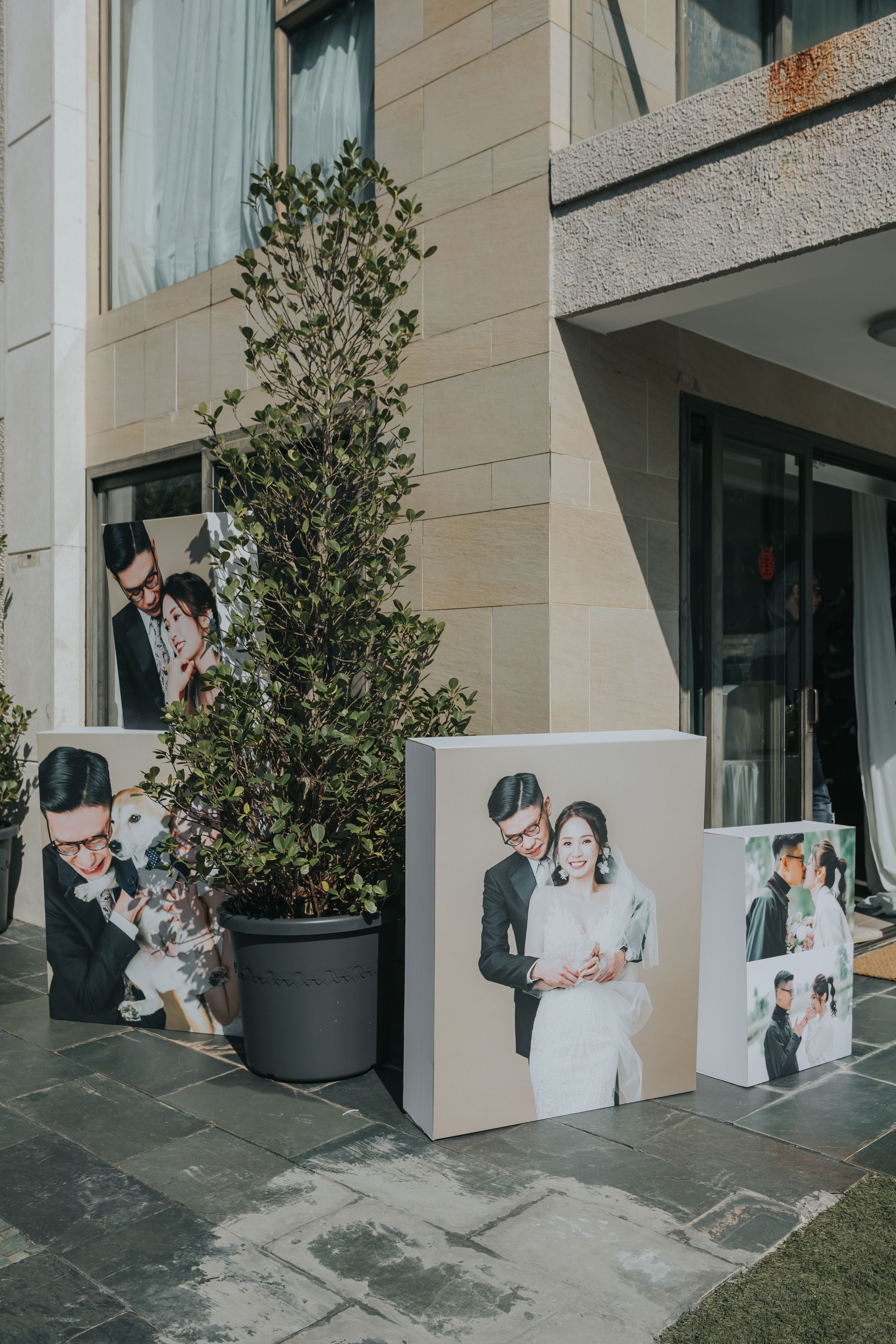Wedding photos displayed outside a building: couple in formal wear, plant in a black pot, sunny day.