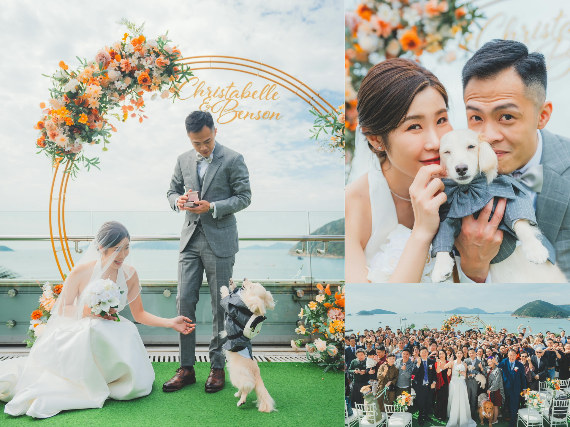 Wedding scenes: bride and groom, outdoor ceremony, reception with bridesmaids.