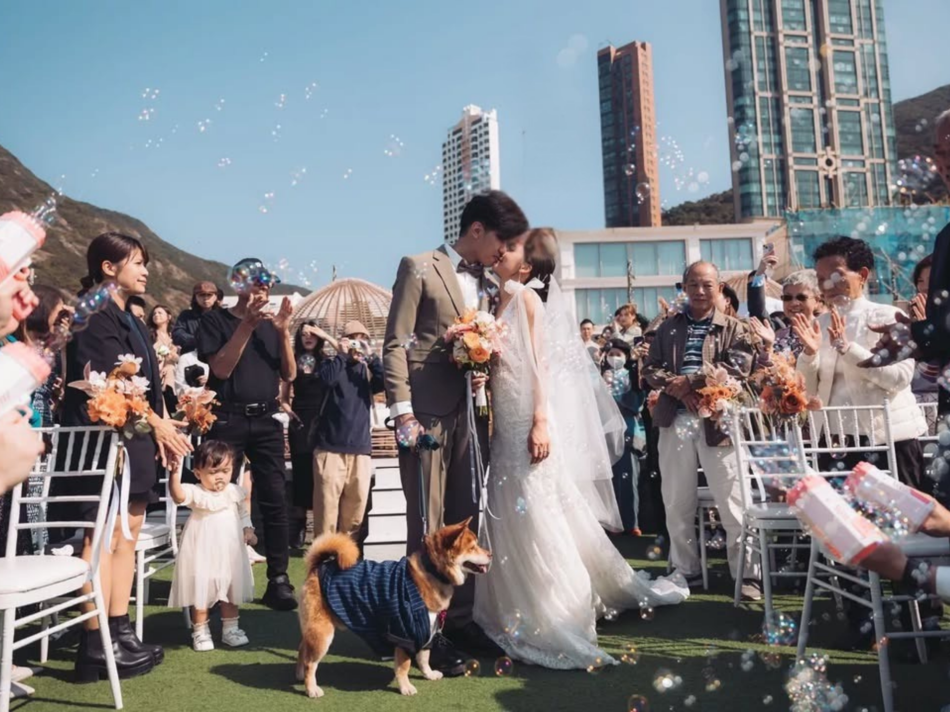 Wedding scenes: bride and groom, outdoor ceremony, reception with bridesmaids.