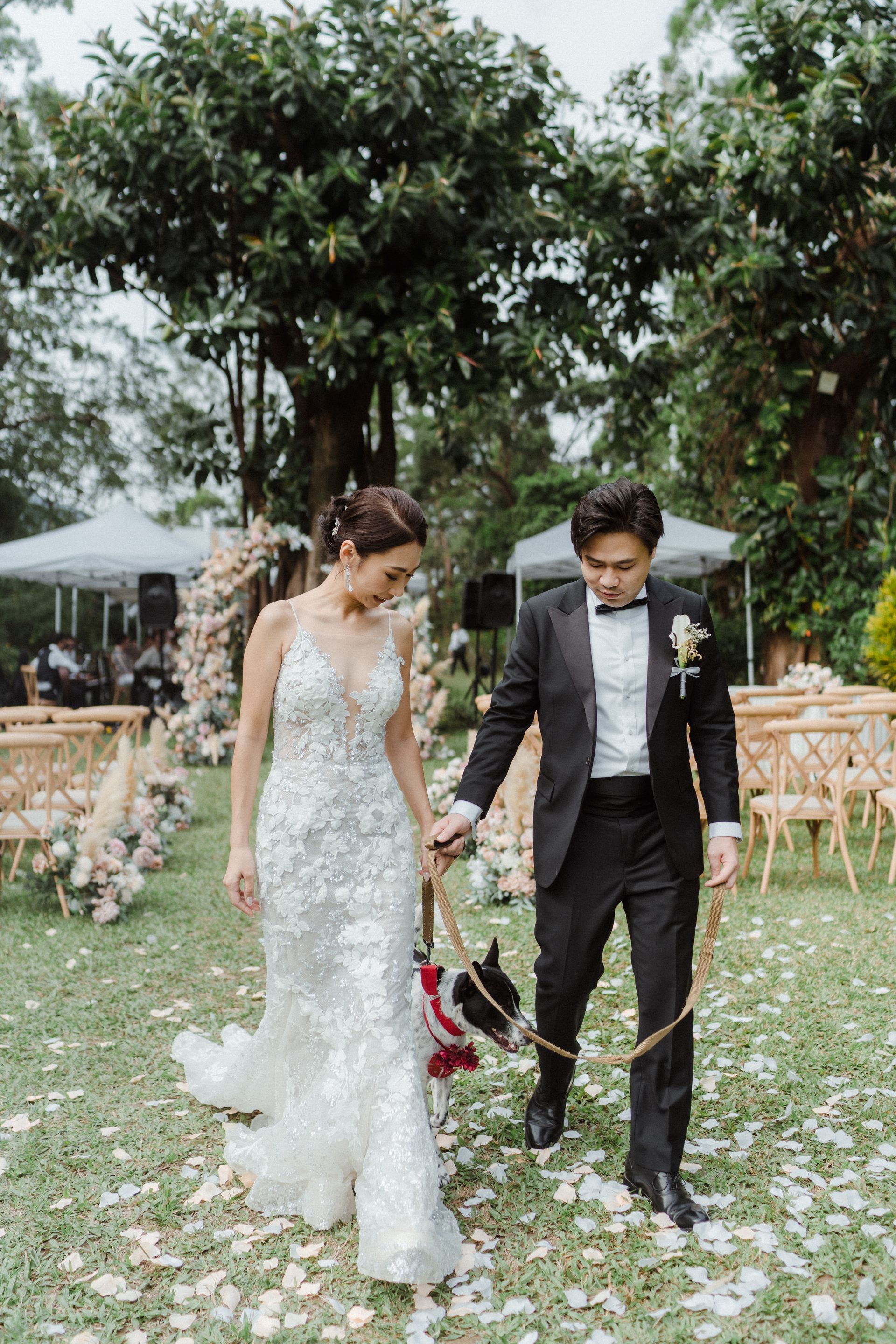 Couple in wedding attire walk with a dog on a leash, an outdoor ceremony in the background.