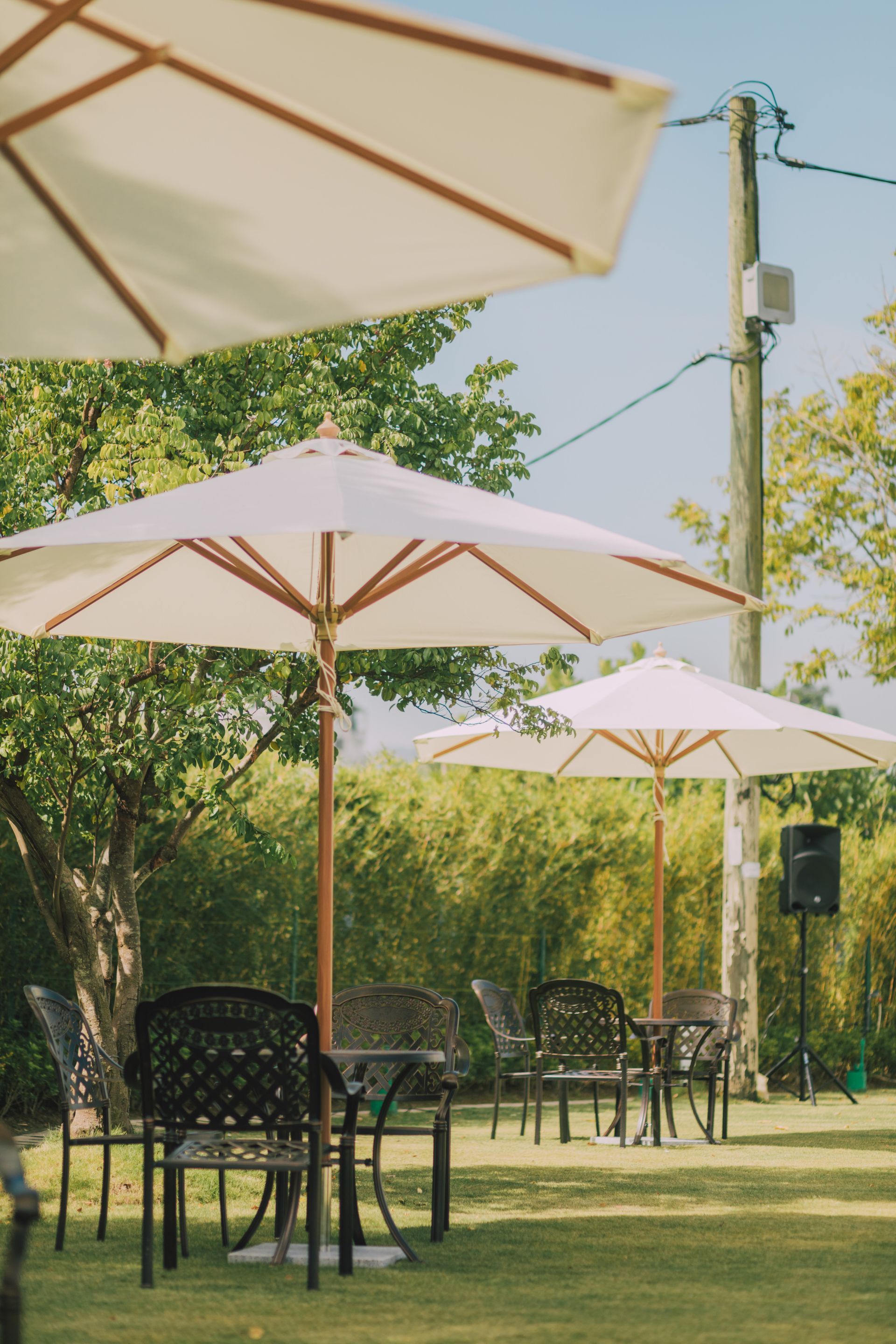 Outdoor café seating under white umbrellas on a grassy lawn with trees and a utility pole nearby