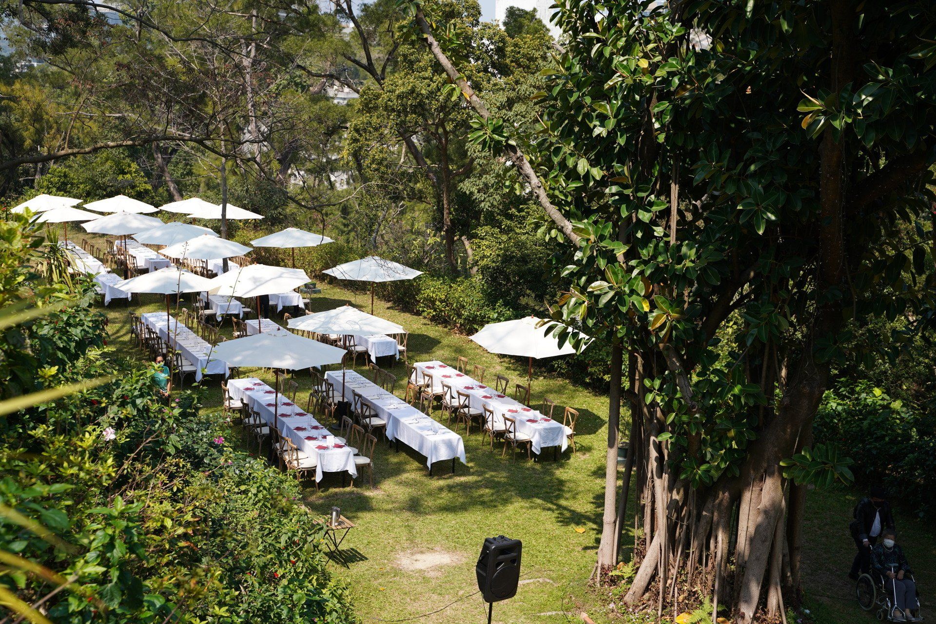 Outdoor dining tables with white umbrellas set in a forest clearing.