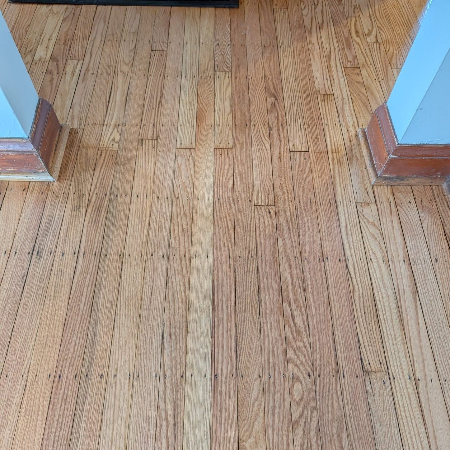 Wooden floor hallway with blue walls and wood trim leading into another room