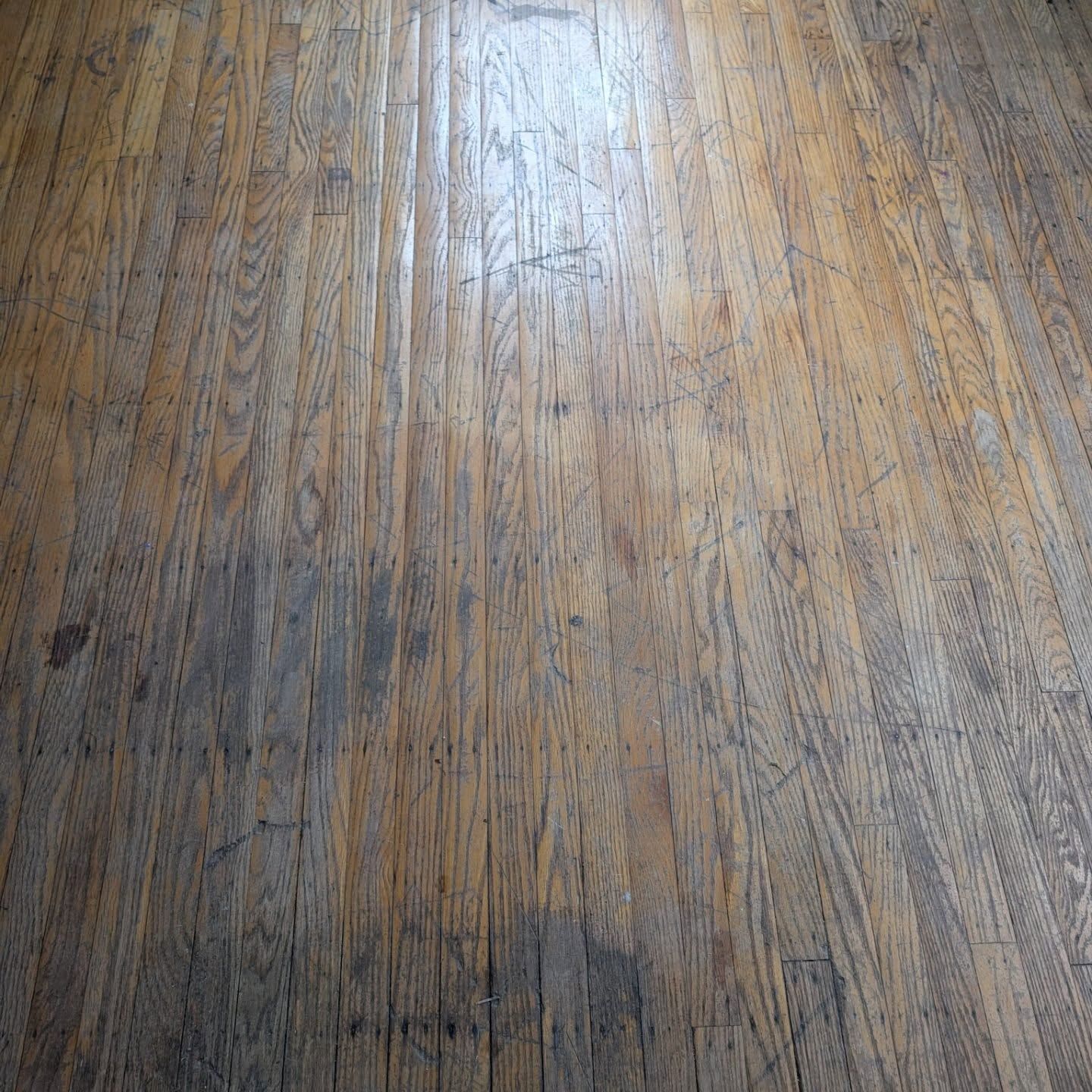 Wooden floorboards with warm brown tones and a bright light reflection in the center