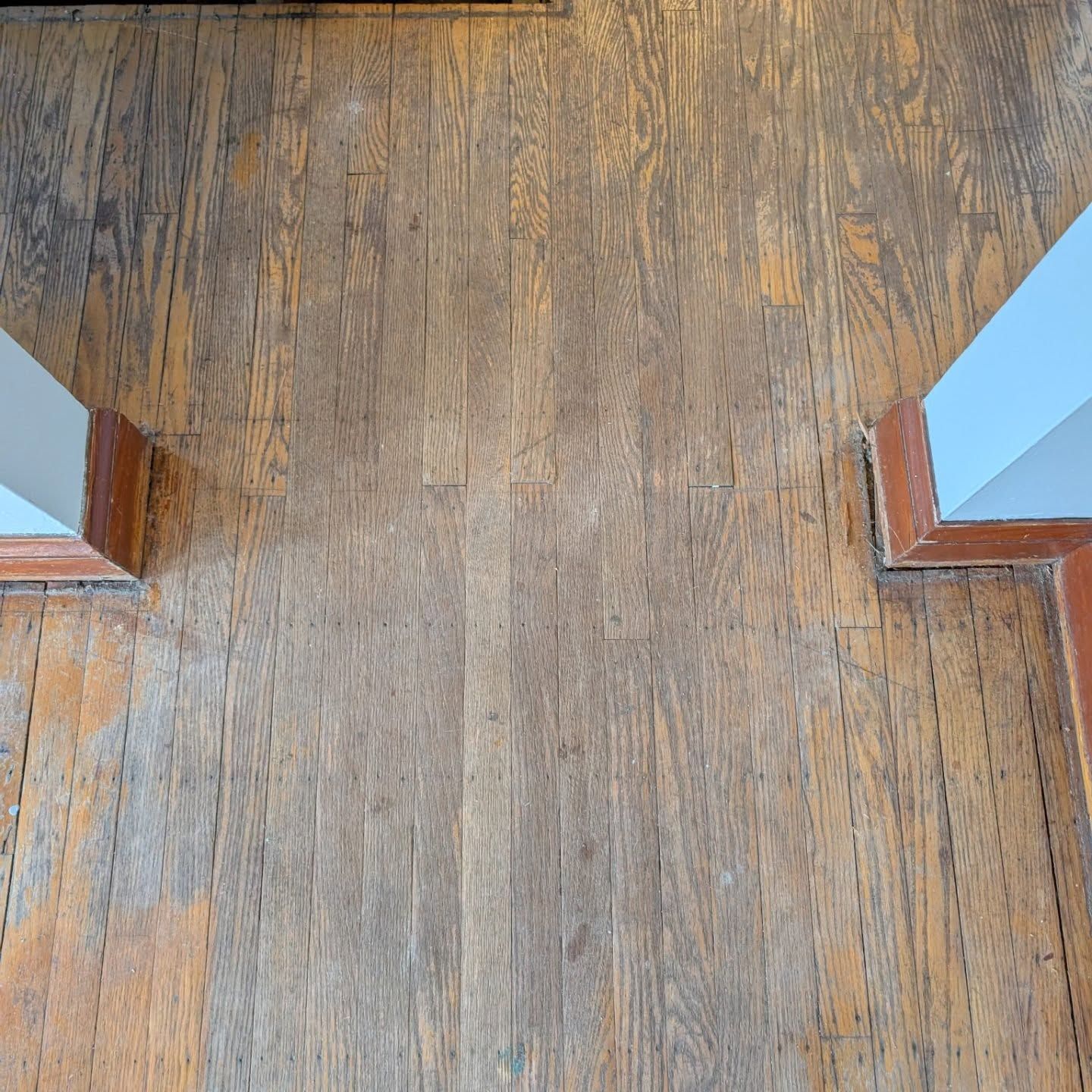 Wooden floor with two light blue stair rails framing the top corners