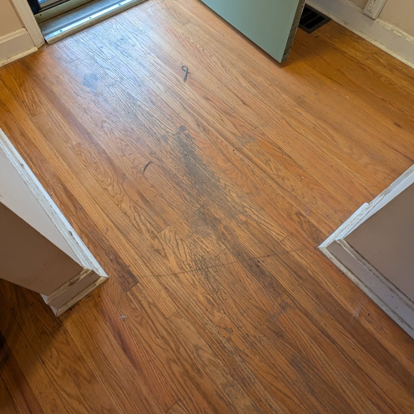 Wood-look floor in a doorway area with white trim and a small cable on the floor.