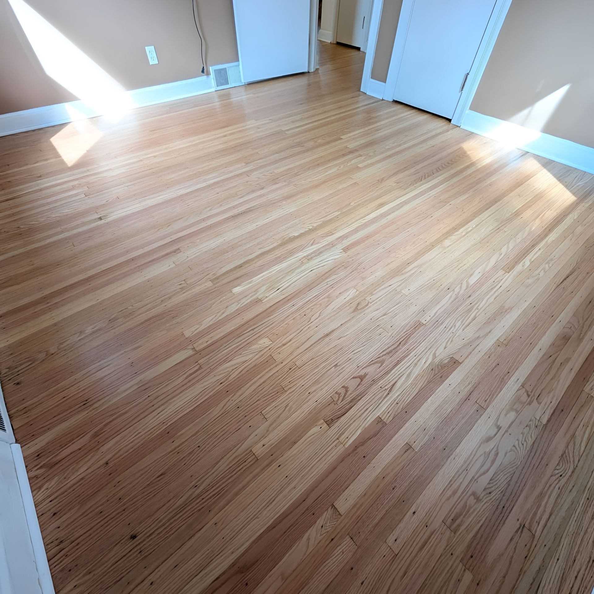 Empty sunlit room with light wood flooring and white walls