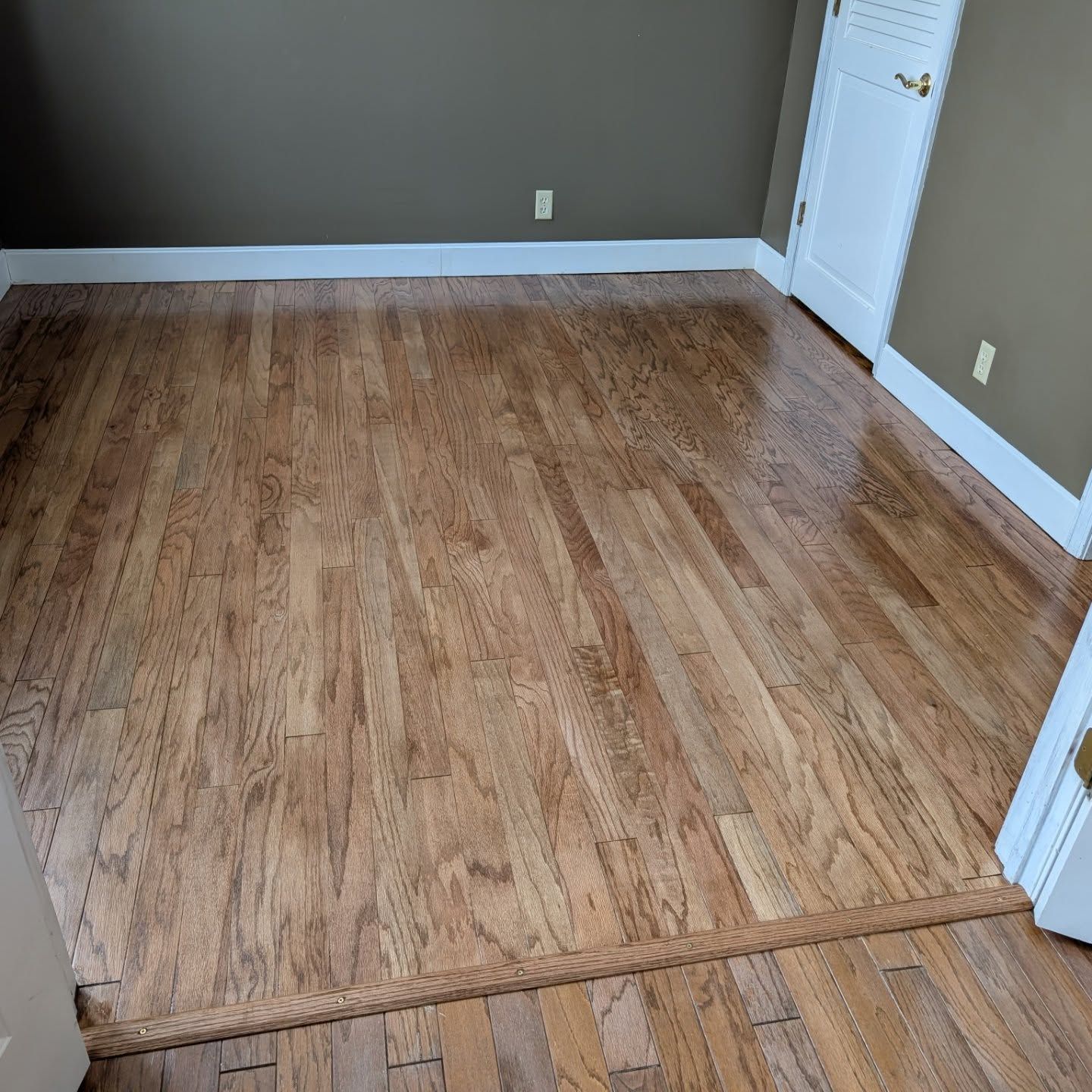 Empty room with wood-look flooring, gray walls, white trim, and a white door.