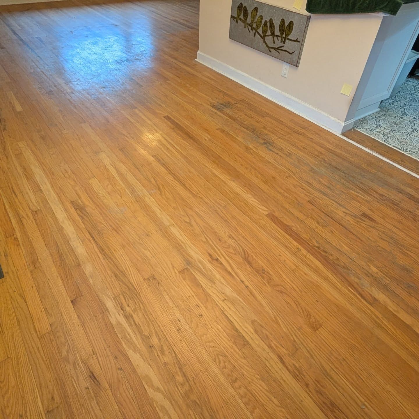 Wooden hardwood floor in a home interior with a white wall and carpeted edge.